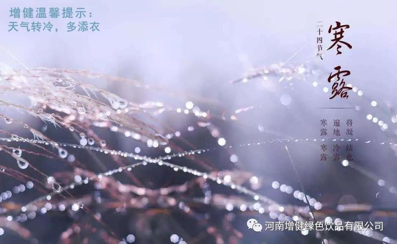 今日寒露：秋風(fēng)起，寒露至。
