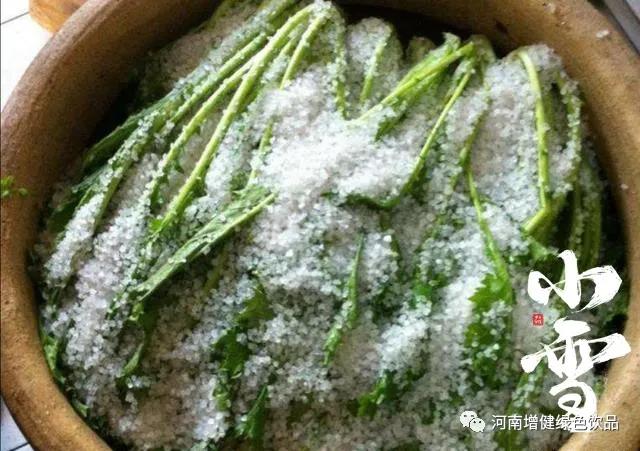 今日小雪：天地初寒，愿歲月安暖！
