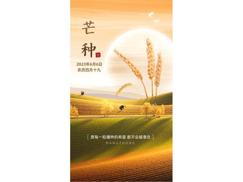 風(fēng)吹麥浪芒種時，麥香深處有希望