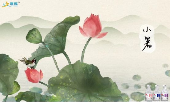 【河南增健飲品】倏忽溫風(fēng)至，因循小暑來。